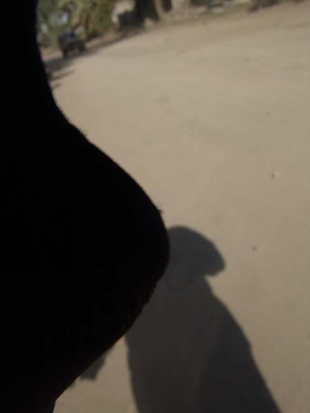 DSC00755