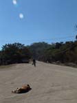 DSC00601