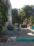 DSC00613
