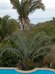 DSC00648