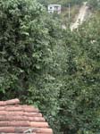 DSC00651