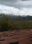 DSC00652