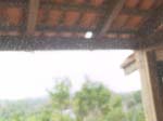 DSC00660