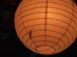 DSC00668
