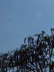 DSC00673