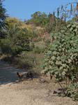 DSC00682