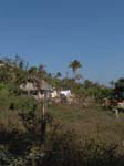 DSC00687