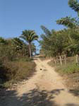 DSC00688