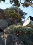 DSC00693