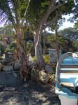 DSC00694