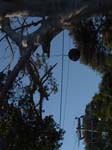 DSC00695