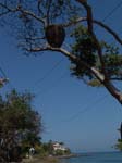 DSC00698