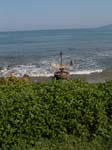 DSC00699