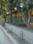 DSC00721