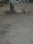 DSC00728