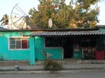 DSC00731