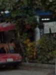 DSC00733