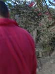 DSC00750