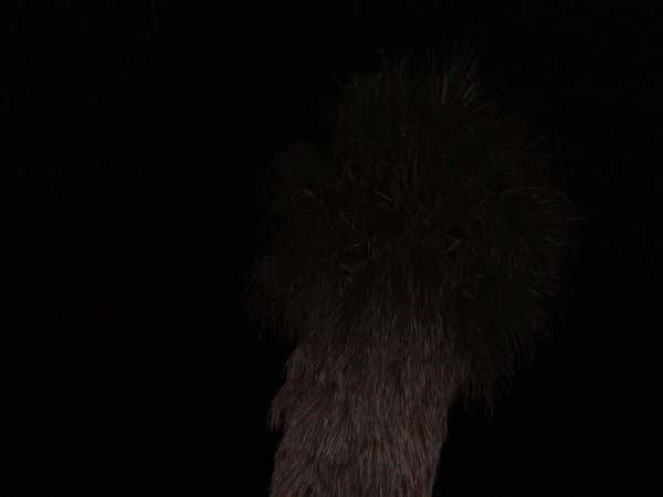 DSC00047