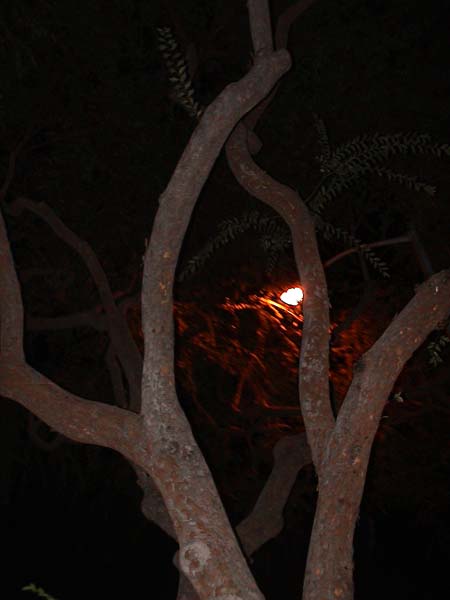 DSC00058