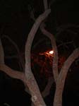DSC00058