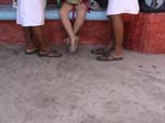 DSC00110