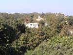 DSC00130