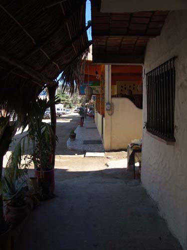 DSC00604