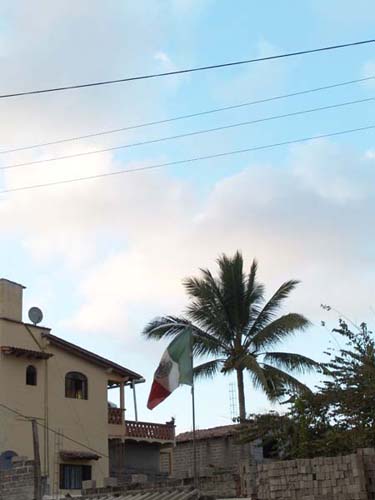 DSC00633