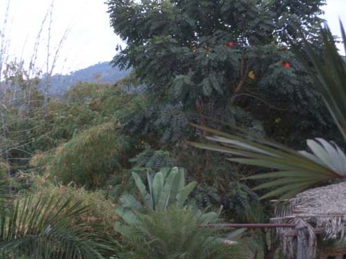 DSC00654