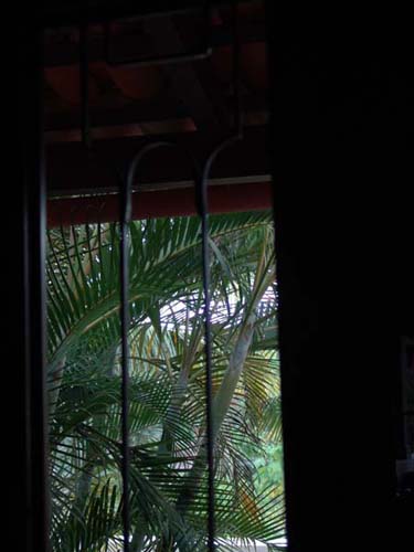 DSC00659
