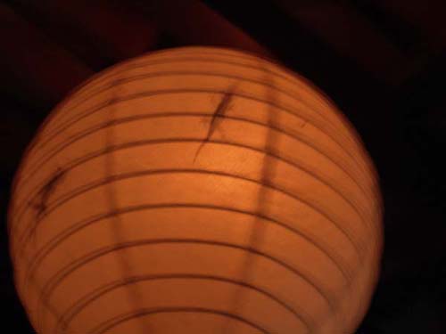 DSC00665