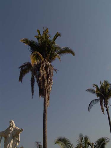 DSC00711