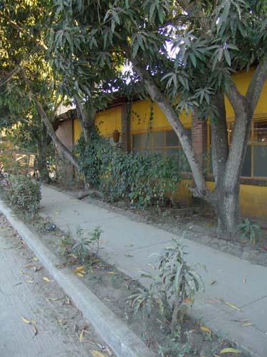 DSC00721