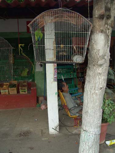DSC00745