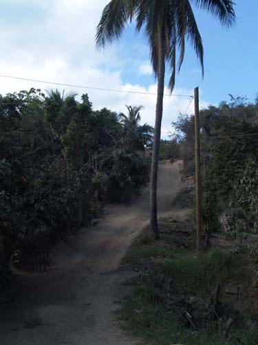 DSC00751