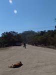 DSC00601