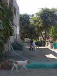 DSC00613