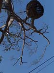 DSC00697