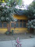 DSC00723