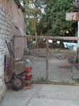 DSC00729