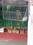 DSC00739