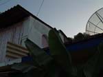 DSC00744