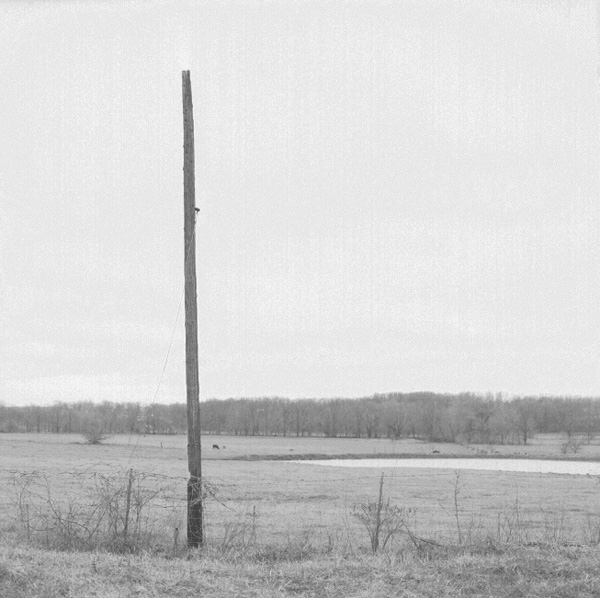 poleinfield