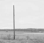 poleinfield