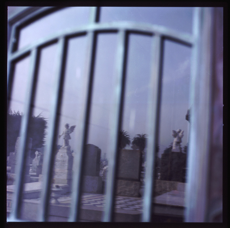 morose_series1.5