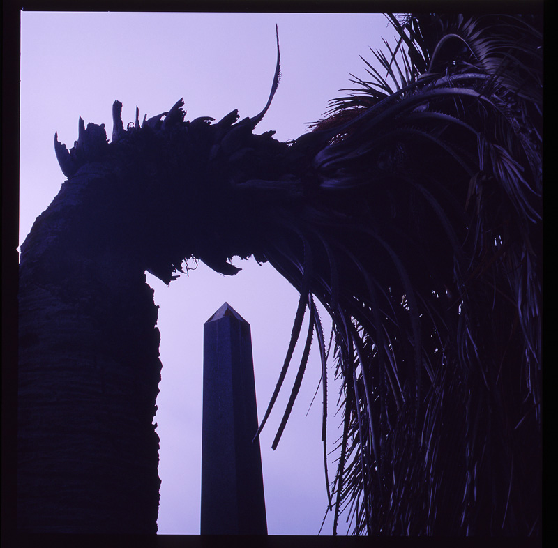 morose_series1.6