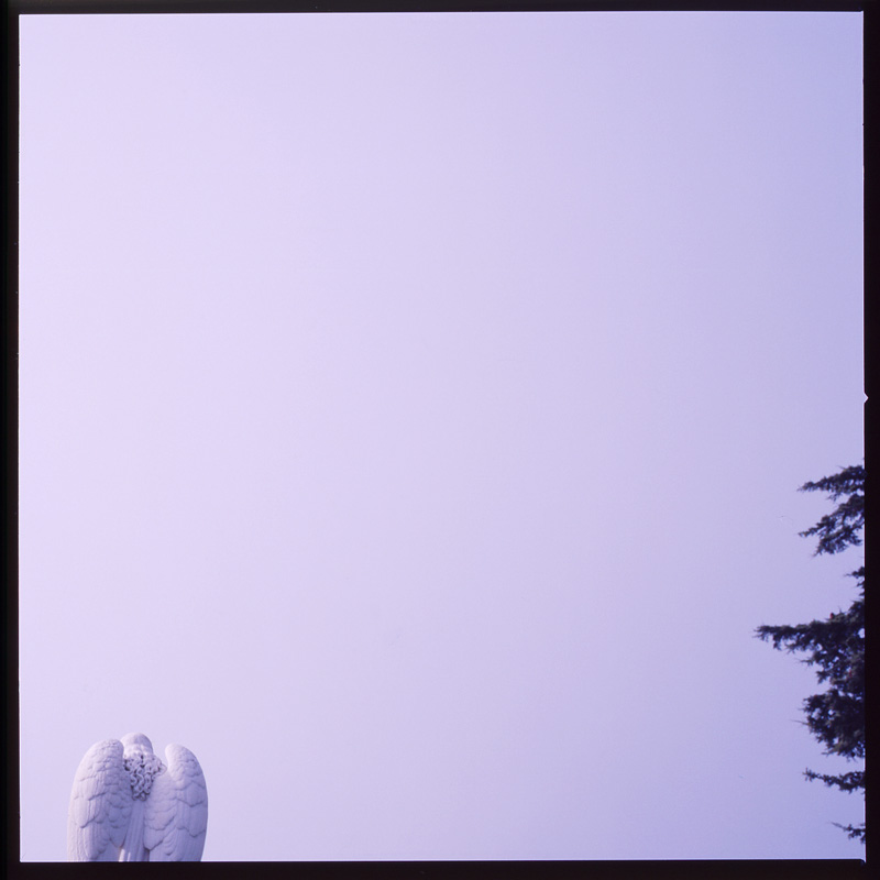 morose_series2.1