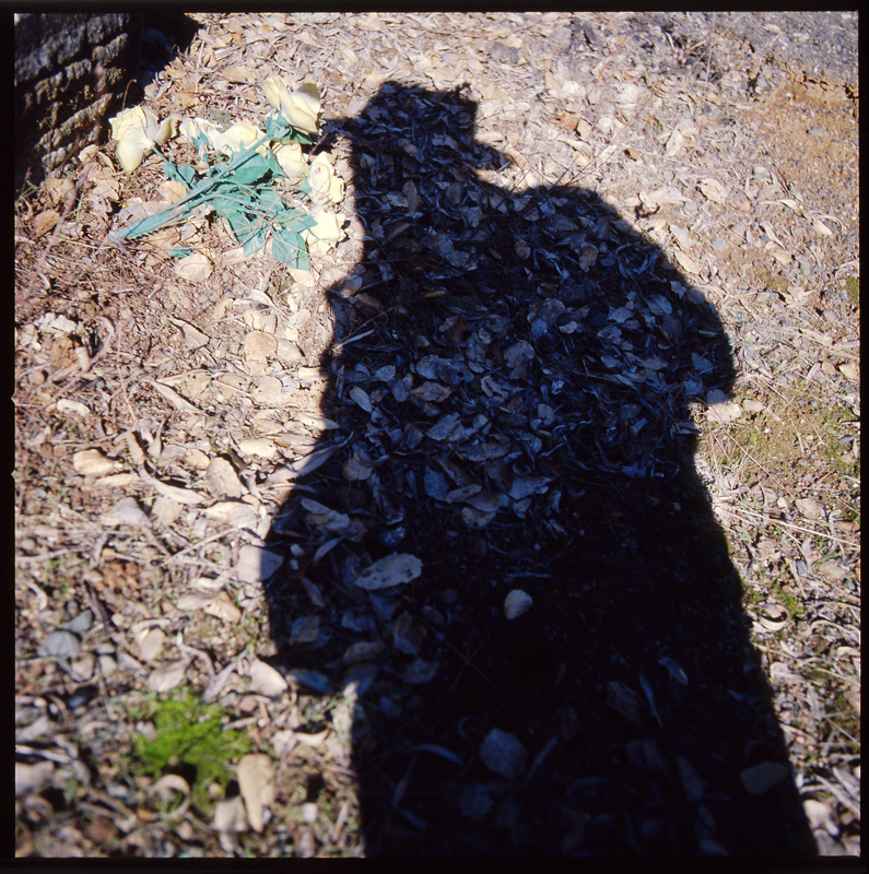 morose_series2.2