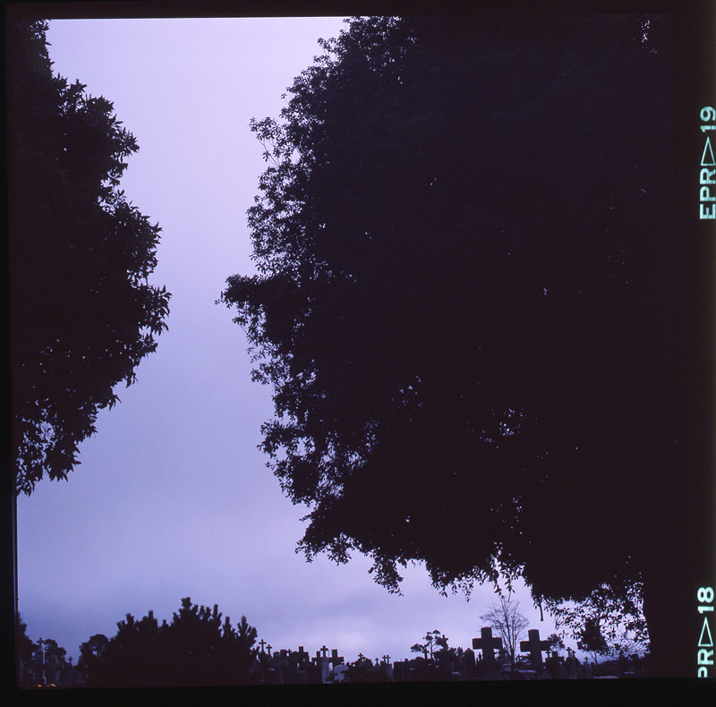 morose_series2.3